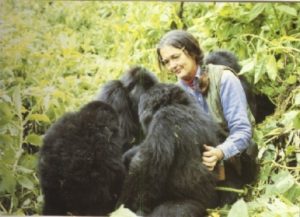 Visiting the grave of Dian Fossey