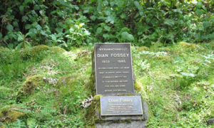Visiting the tomb of Dian Fossey