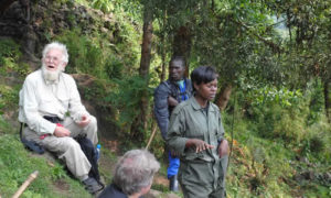 Dian Fossey Grave Trekking