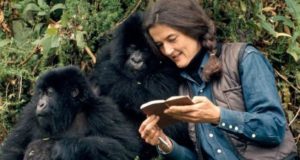 Hiking to the grave of Dian Fossey