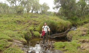 Hiking Mount Karisimbi