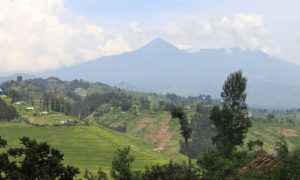 Hiking Mount Karisimbi