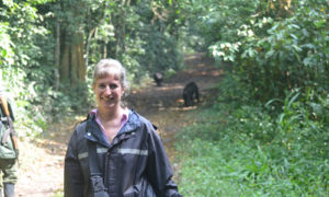 Chimpanzee tracking in Uganda and Rwanda