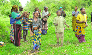 gorilla trekking and batwa visit in Mgahinga