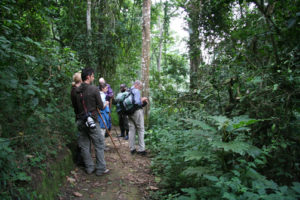 5 Days Rwanda Primates Safari