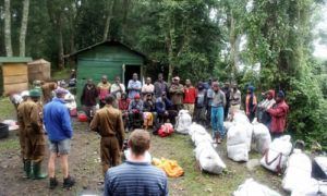 Mount Rwenzori Hike