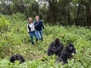 Double gorilla trekking