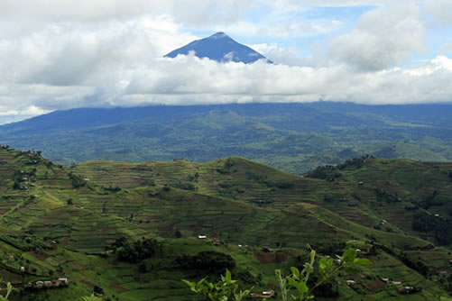 9 Days Rwenzori Mountains Hiking
