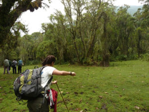 4 days hiking mount Karisimbi and Gorilla tracking in Uganda