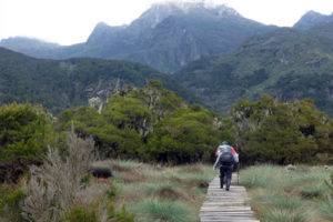 9 Days hiking mountain Rwenzori