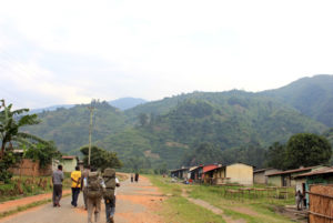 Rwenzori Hiking