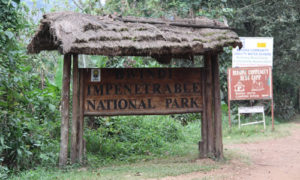 How to reach Virunga National Park
