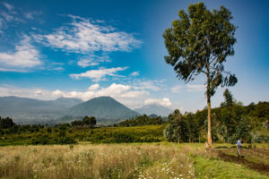 3 Days Hiking Mount Karisimbi