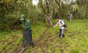 3 Days Mount Karisimbi Hike