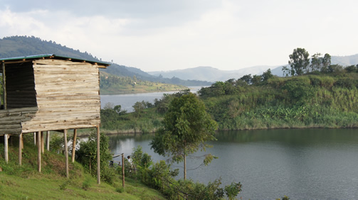 13 days Uganda and Rwanda safari