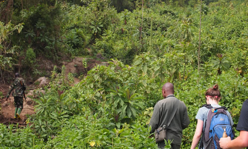 2 days Bisoke Hike and Gorilla Trekking