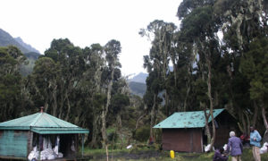 Climbing Mount Rwenzori
