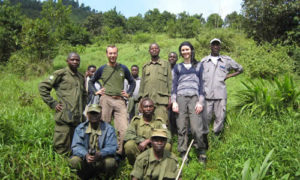 Safety and gorilla trekking