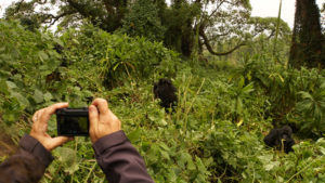 4 Days Rwanda Gorilla Safari and Lake Kivu tour