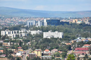 Gorilla Tour and Karisimbi Hike