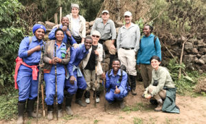 Using porters for gorilla trekking