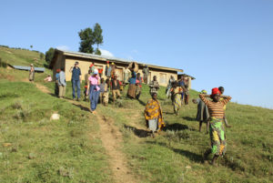 Double gorilla tracking in Uganda