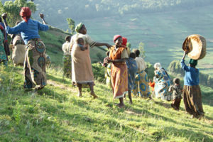 Visiting the Batwa pygmies during an 8 Days Safari