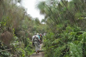 5 Days Uganda Primates Safari