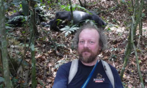 The gorilla trekking experience