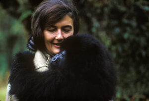 Dian Fossey and Digit the gorilla