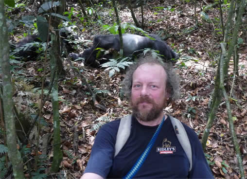 The Gorilla habituation process