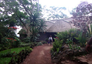 Hotels and Lodge in Virunga National Park