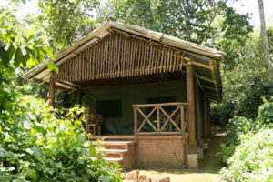 A safari in Kibale National Park