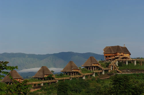 Accommodation in Kibale National Park 