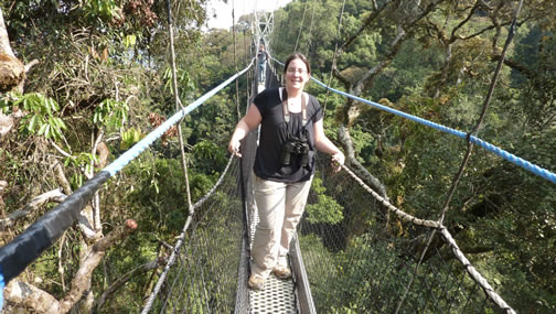 Canopy Walk in Nyungwe Forest