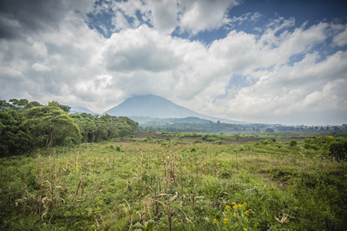 Virunga National Park Congo