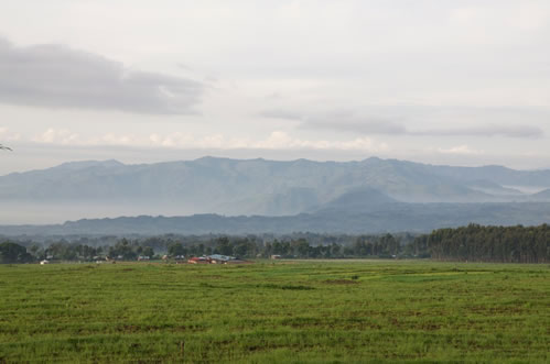 Volcanoes National Park Rwanda