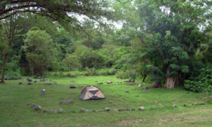 campsite in semuliki national park