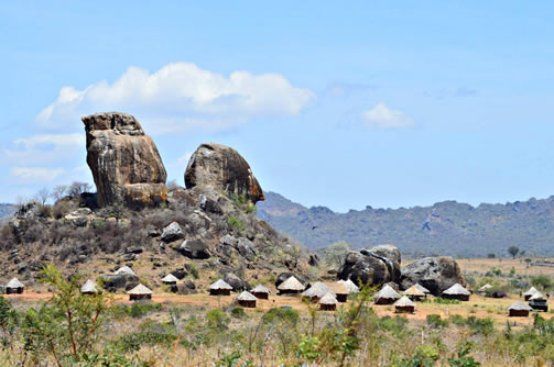 A safari in Kidepo National Park