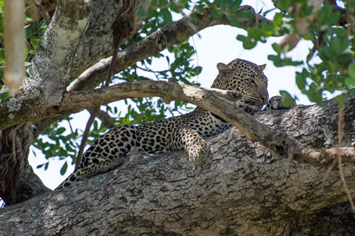 Kidepo National Park Uganda