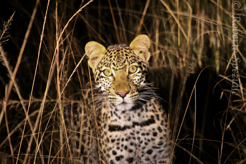 Lake Mburo National Park in Uganda