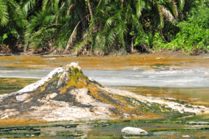 Hotspings in Semuliki National Park