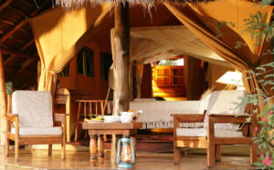 semuliki safari lodge