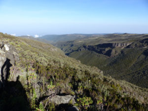 Climbing Mount Elgon