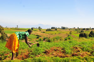 Visiting Mount Elgon National Park 