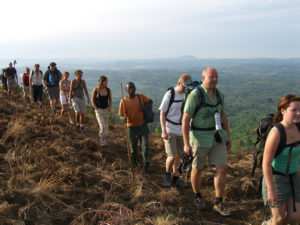 Rwenzori Mountains Trekking