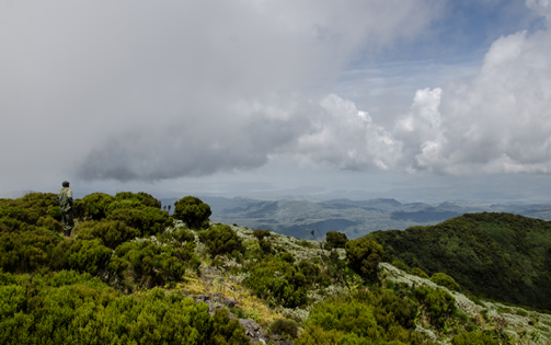 Activities in Kahuzi-Biega National Park