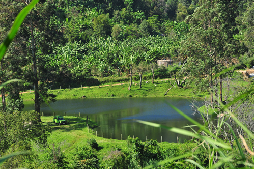 Rwenzori Mountains National Park Uganda