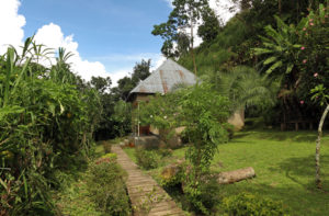 Hotels at the Rwenzori Mountains National Park