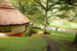 Hotels and lodges in Mount Elgon National Park